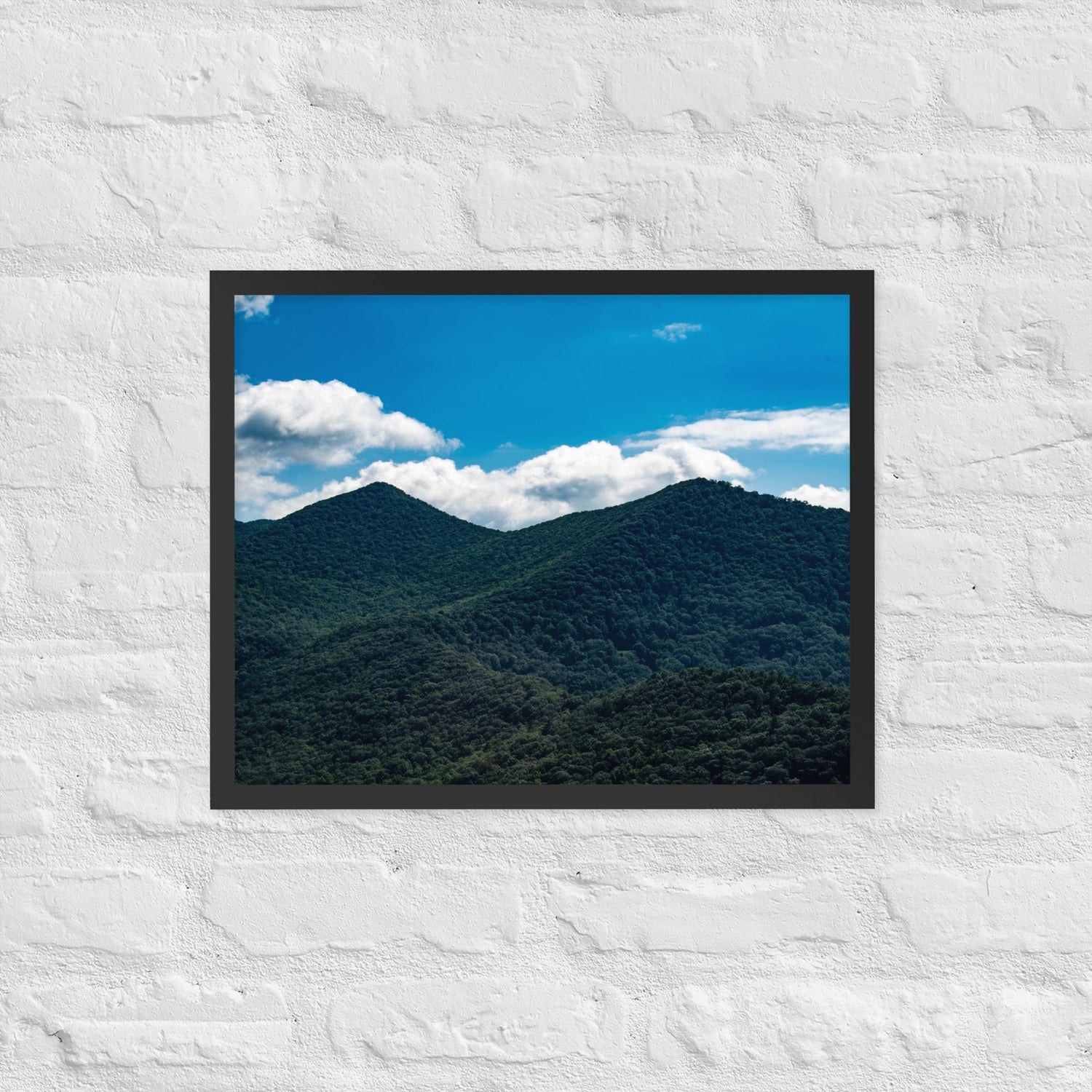 Take Me to the Mountains