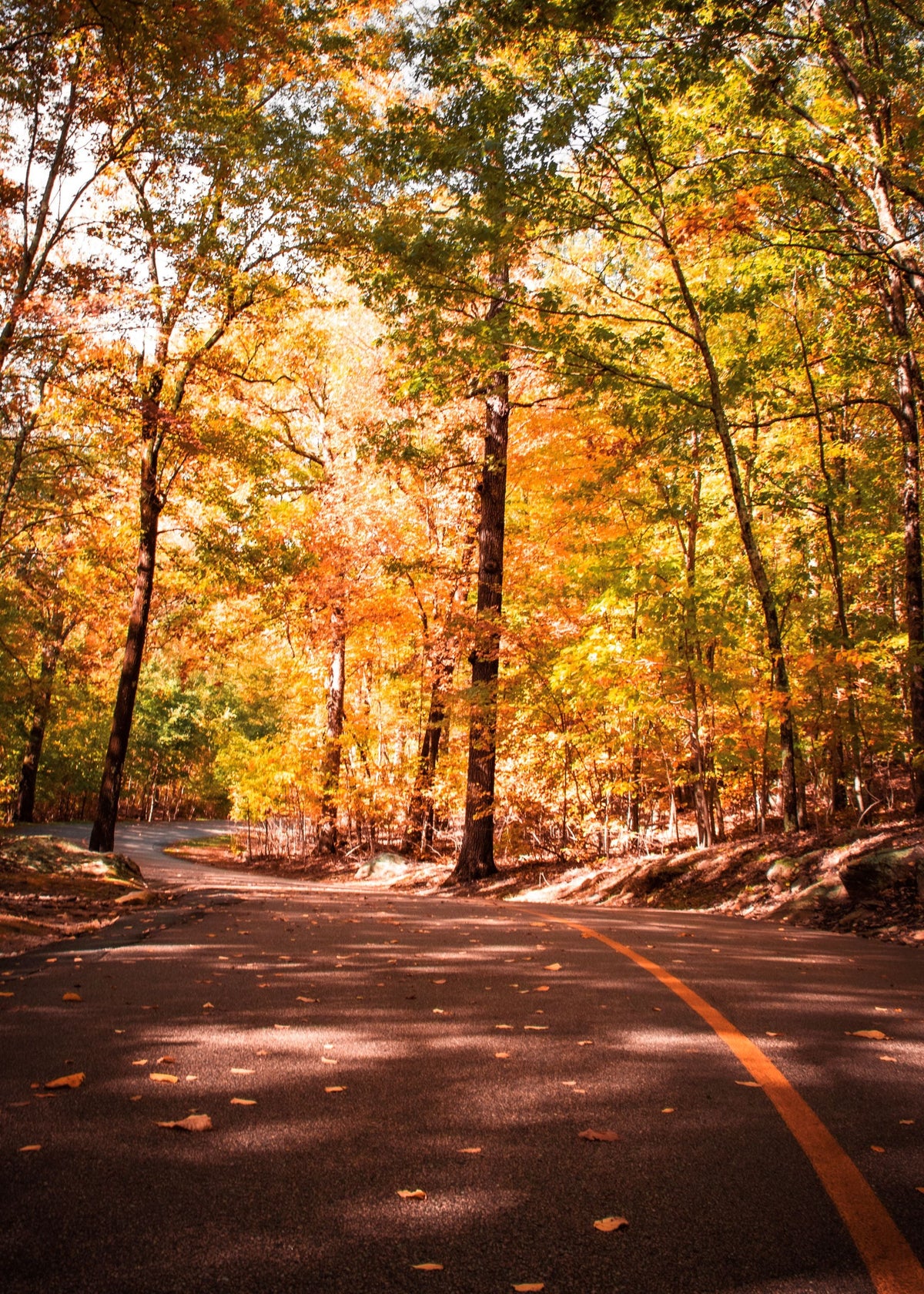 Take Me to Autumn