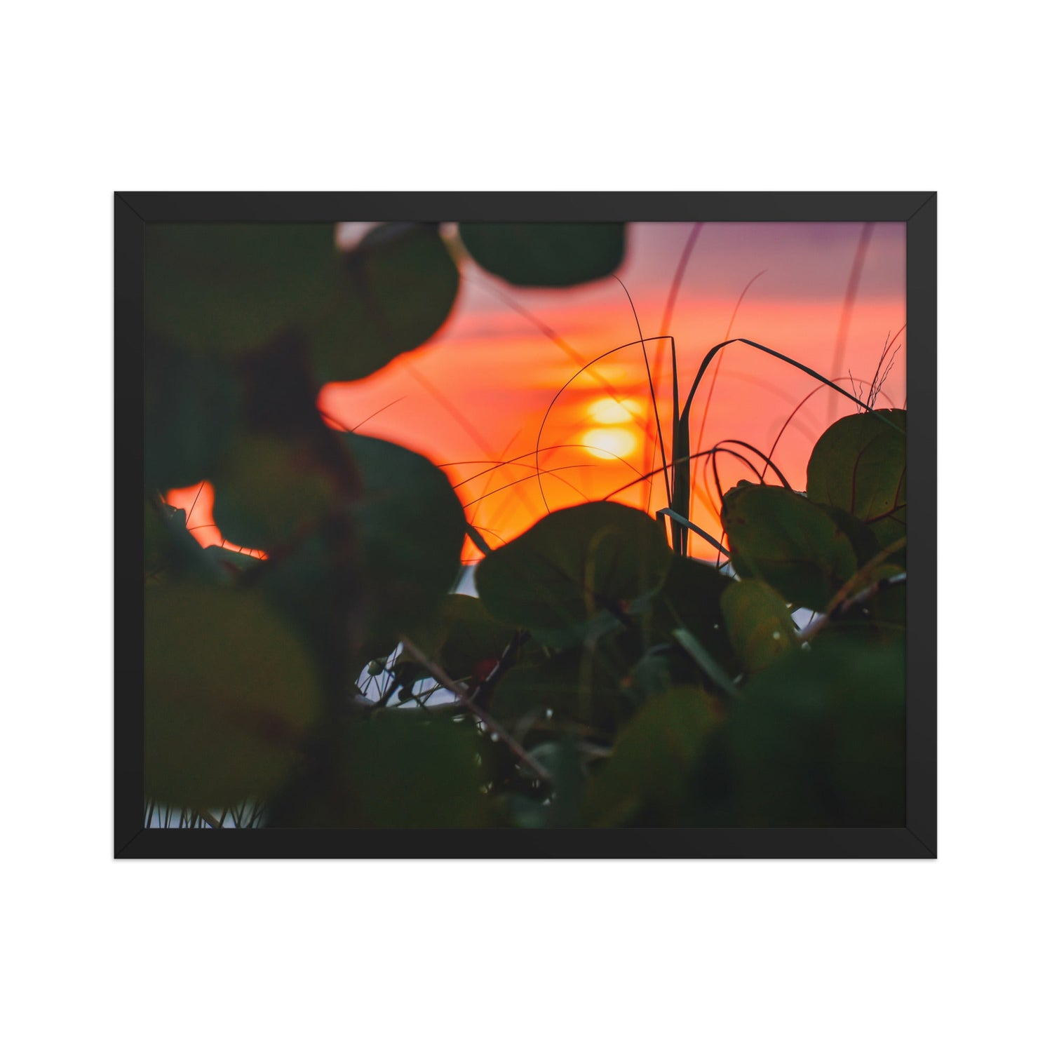 Take Me to the Beach