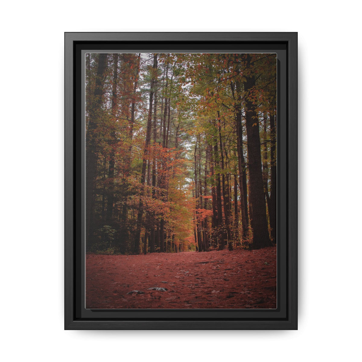 Autumn Forest Wall Art