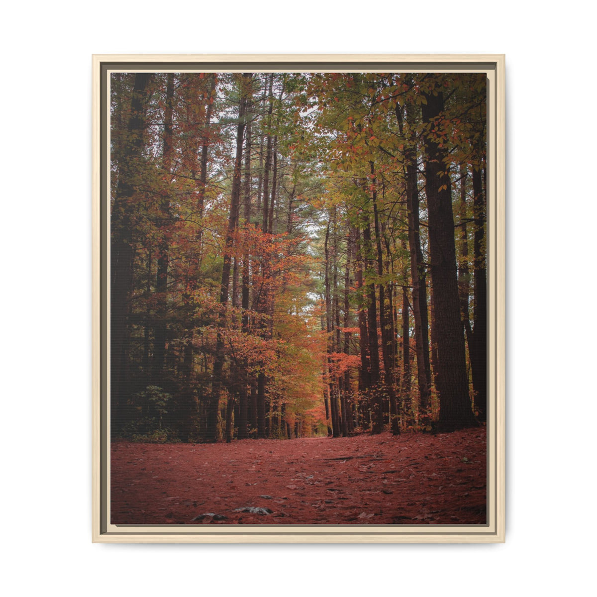 Autumn Forest Wall Art