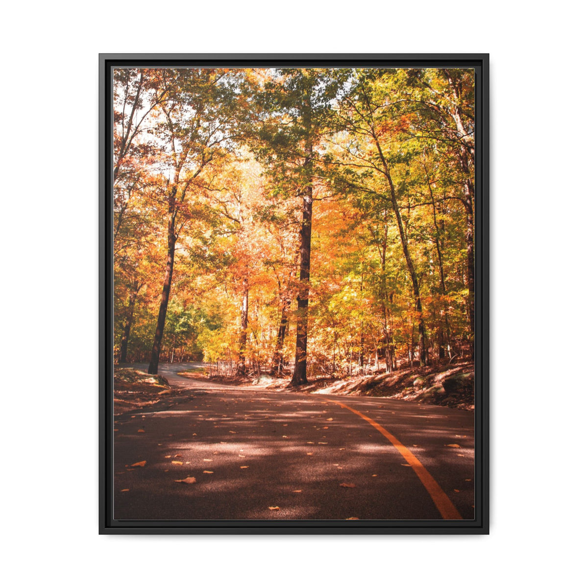 Autumn Road- Canvas Print