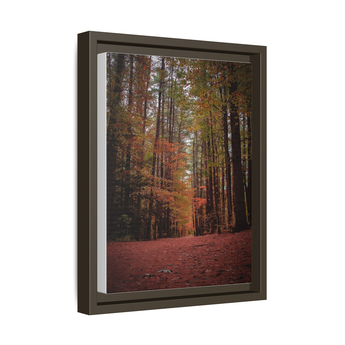 Autumn Forest Wall Art