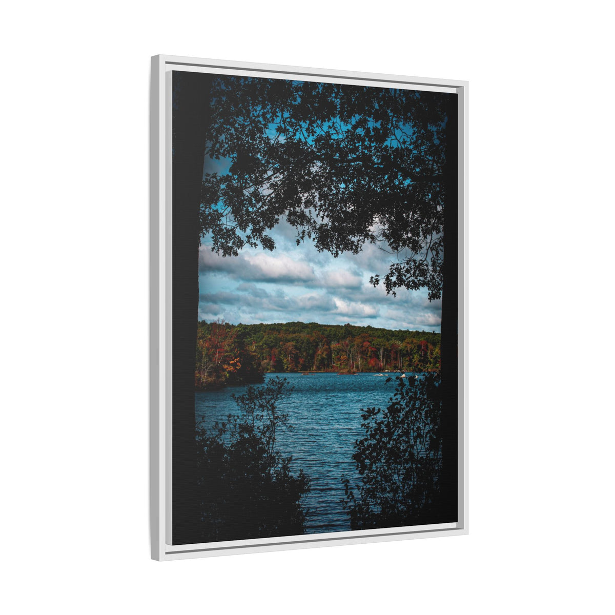 Tree Covered Peace - Canvas Print
