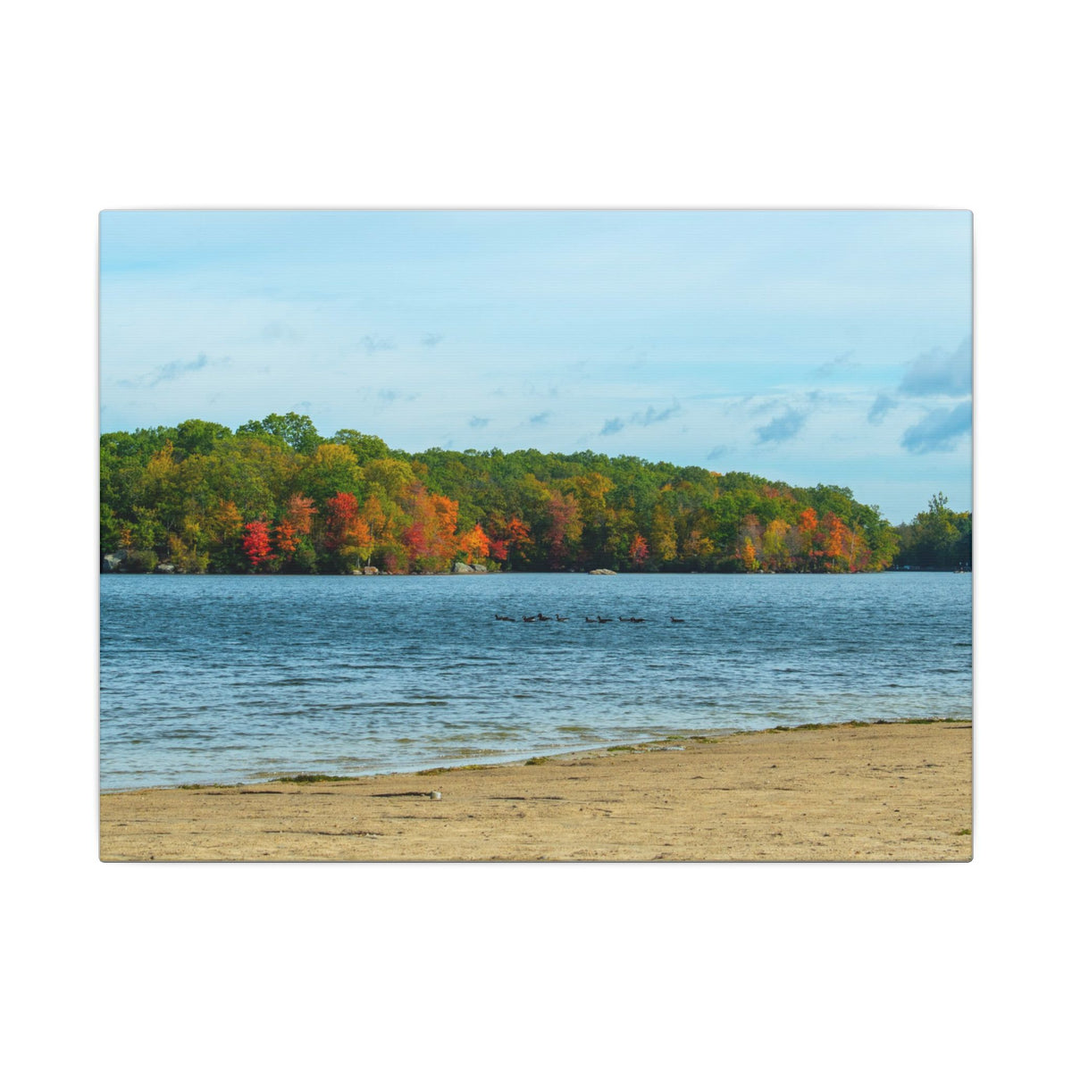 Fall on the Beach — Fall Landscape Matte Wall Art