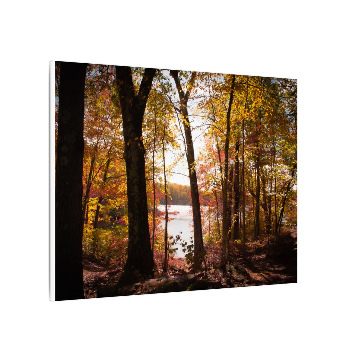 Autumn Lakeview Wall Art