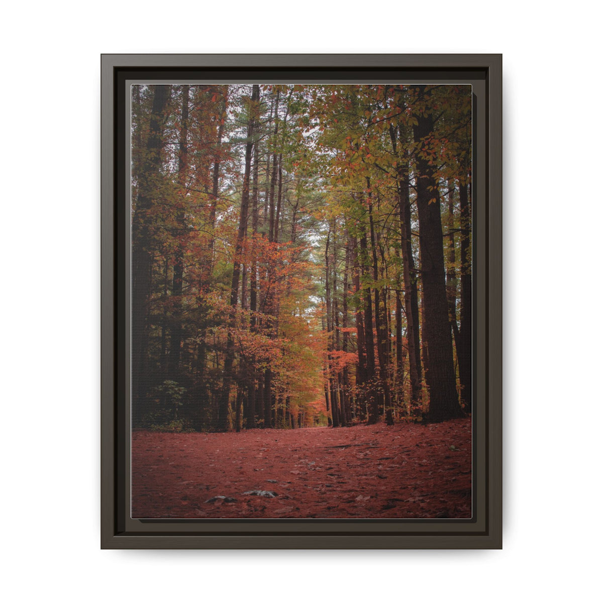 Autumn Forest Wall Art