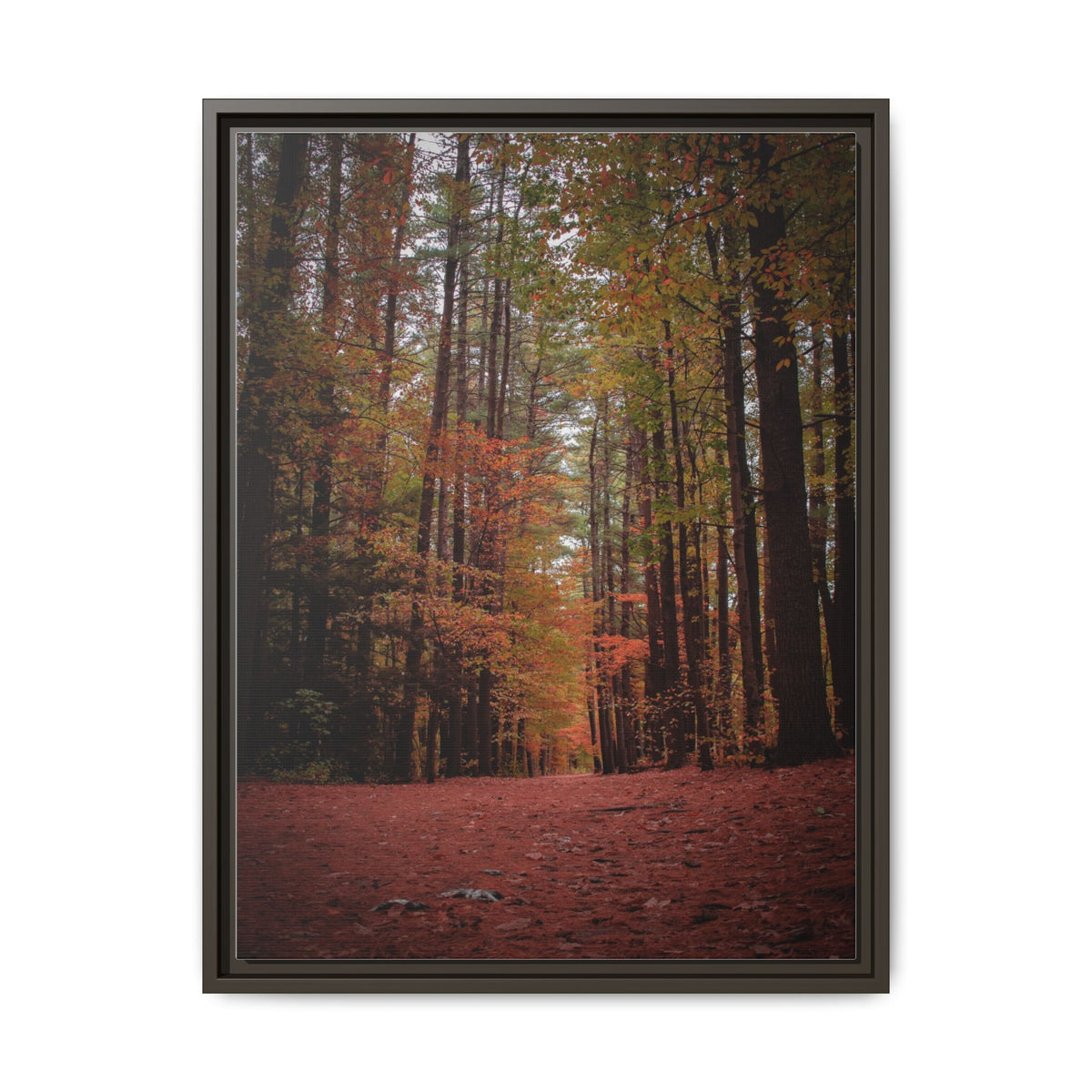 Autumn Forest Wall Art