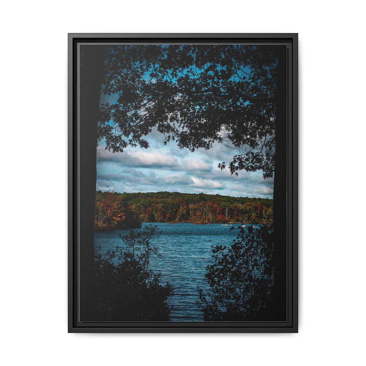 Tree Covered Peace - Canvas Print