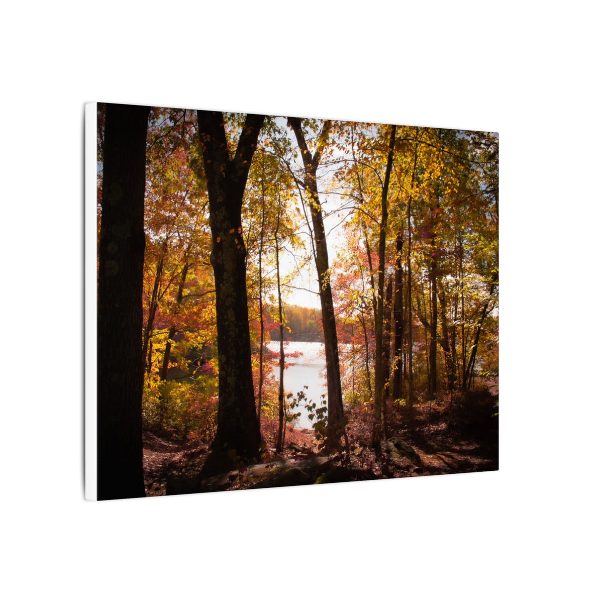Autumn Lakeview Wall Art