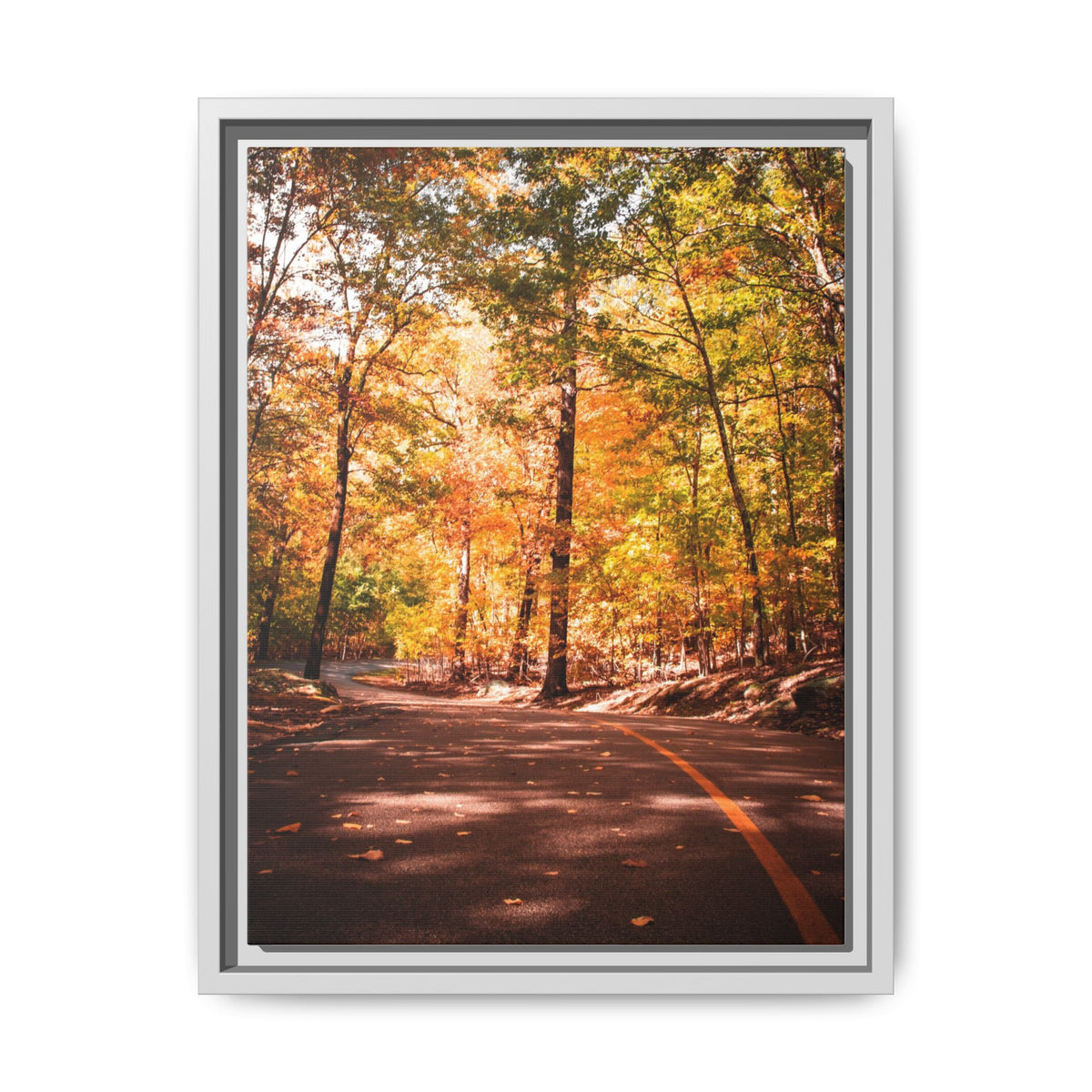 Autumn Road- Canvas Print