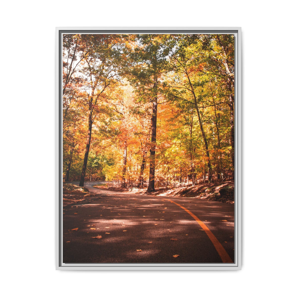 Autumn Road- Canvas Print