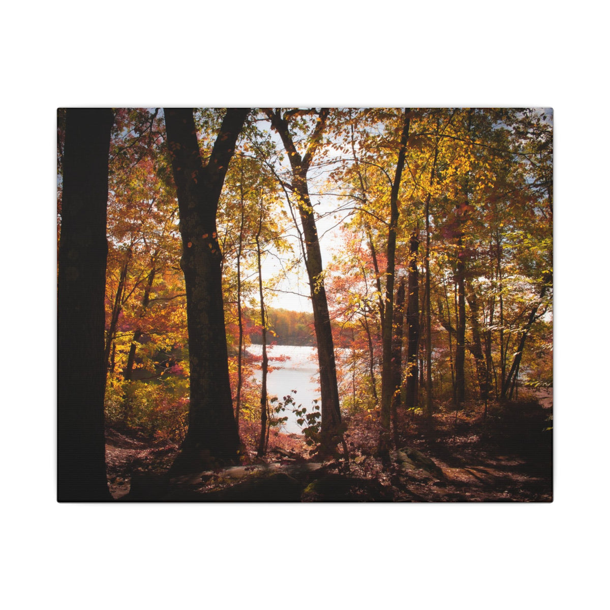 Autumn Lakeview Wall Art