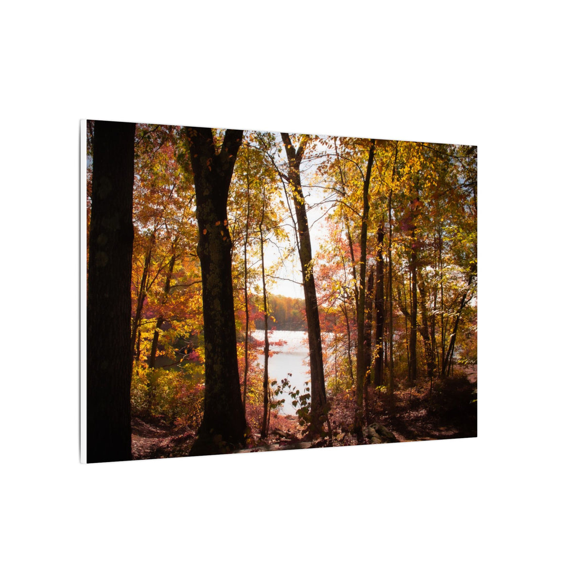 Autumn Lakeview Wall Art