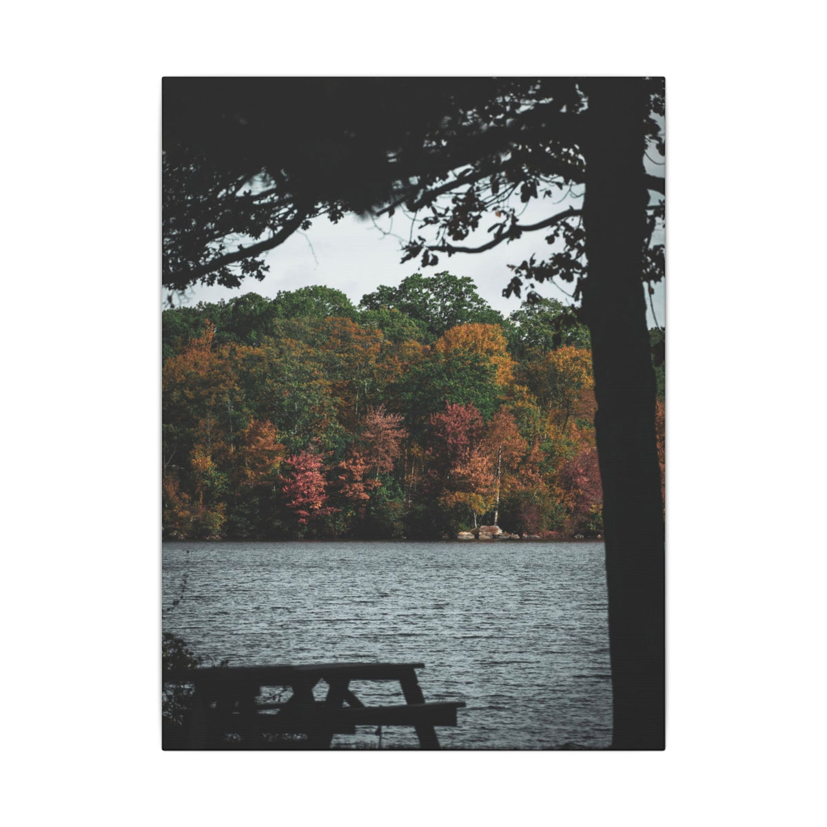Take in Autumn- Matte Canvas Print