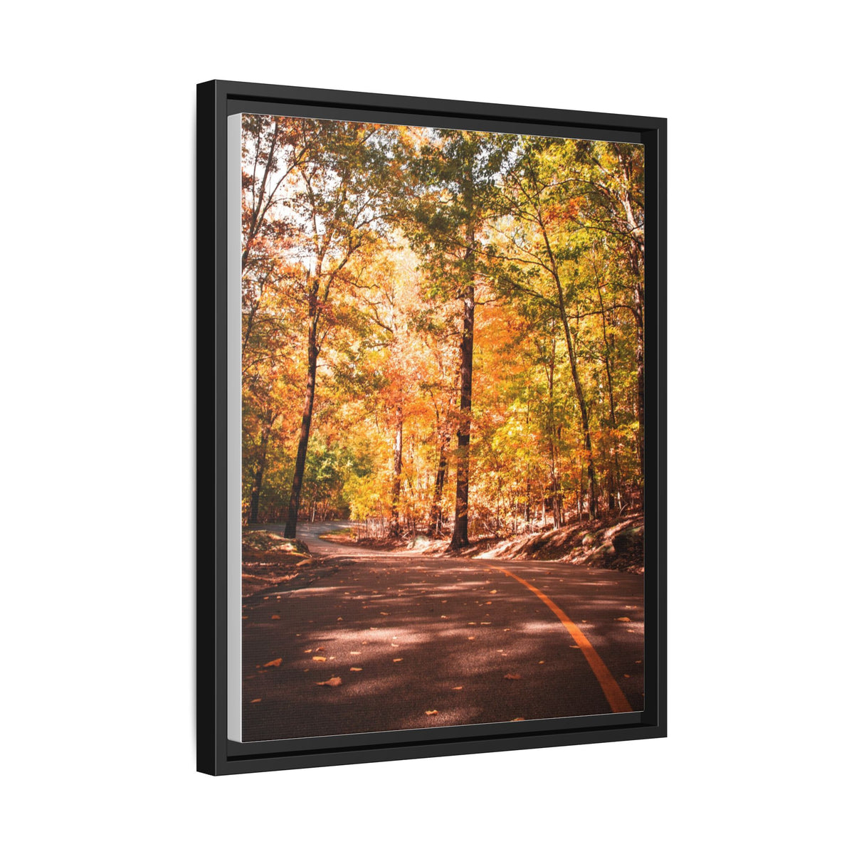 Autumn Road- Canvas Print