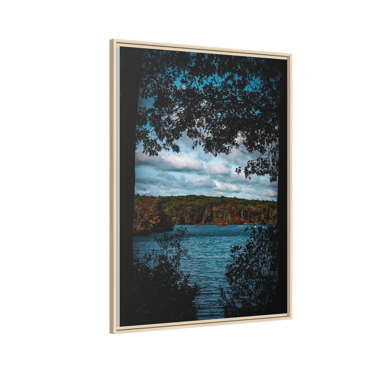 Tree Covered Peace - Canvas Print