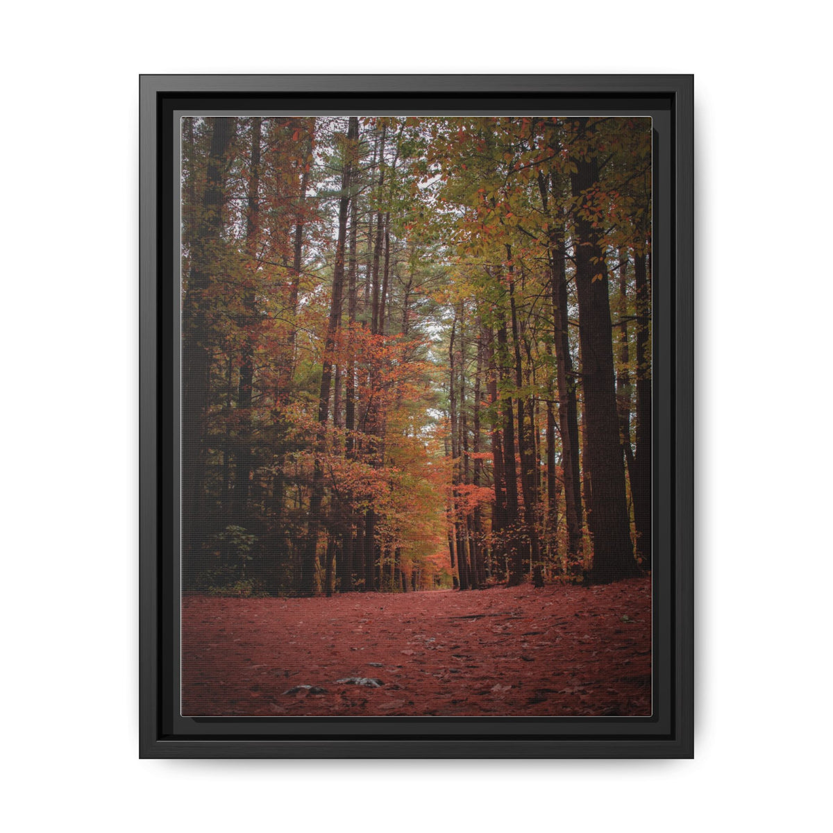 Autumn Forest Wall Art