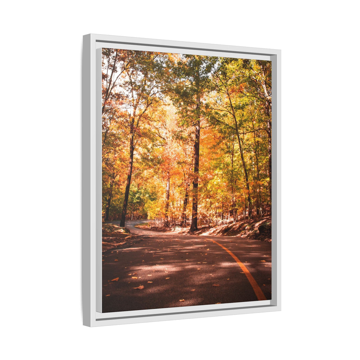 Autumn Road- Canvas Print