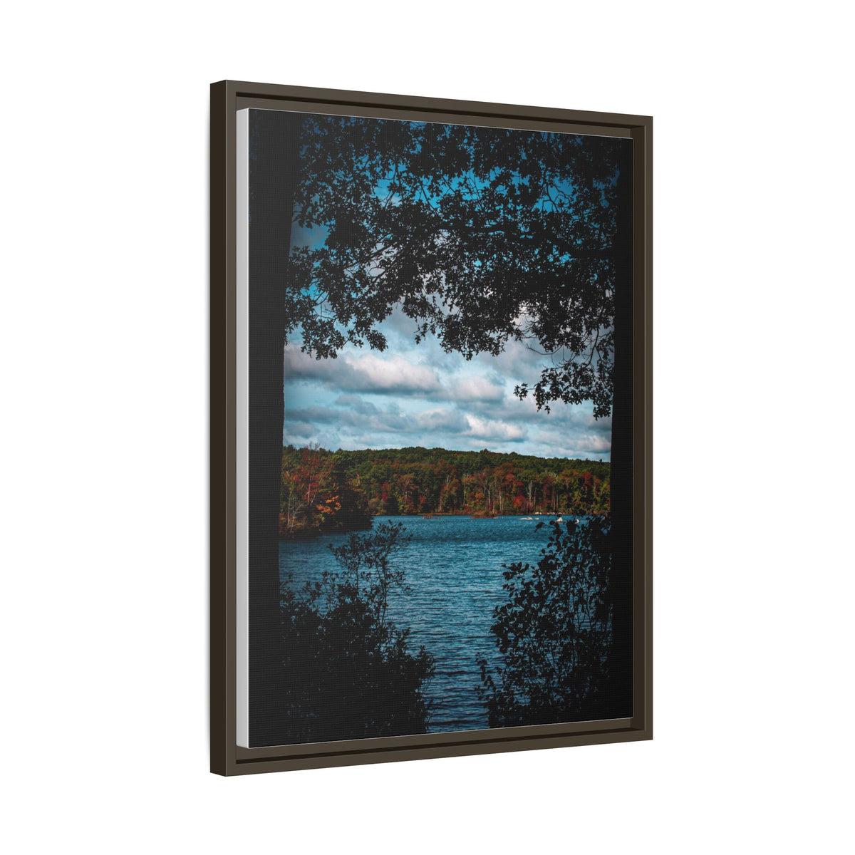 Tree Covered Peace - Canvas Print
