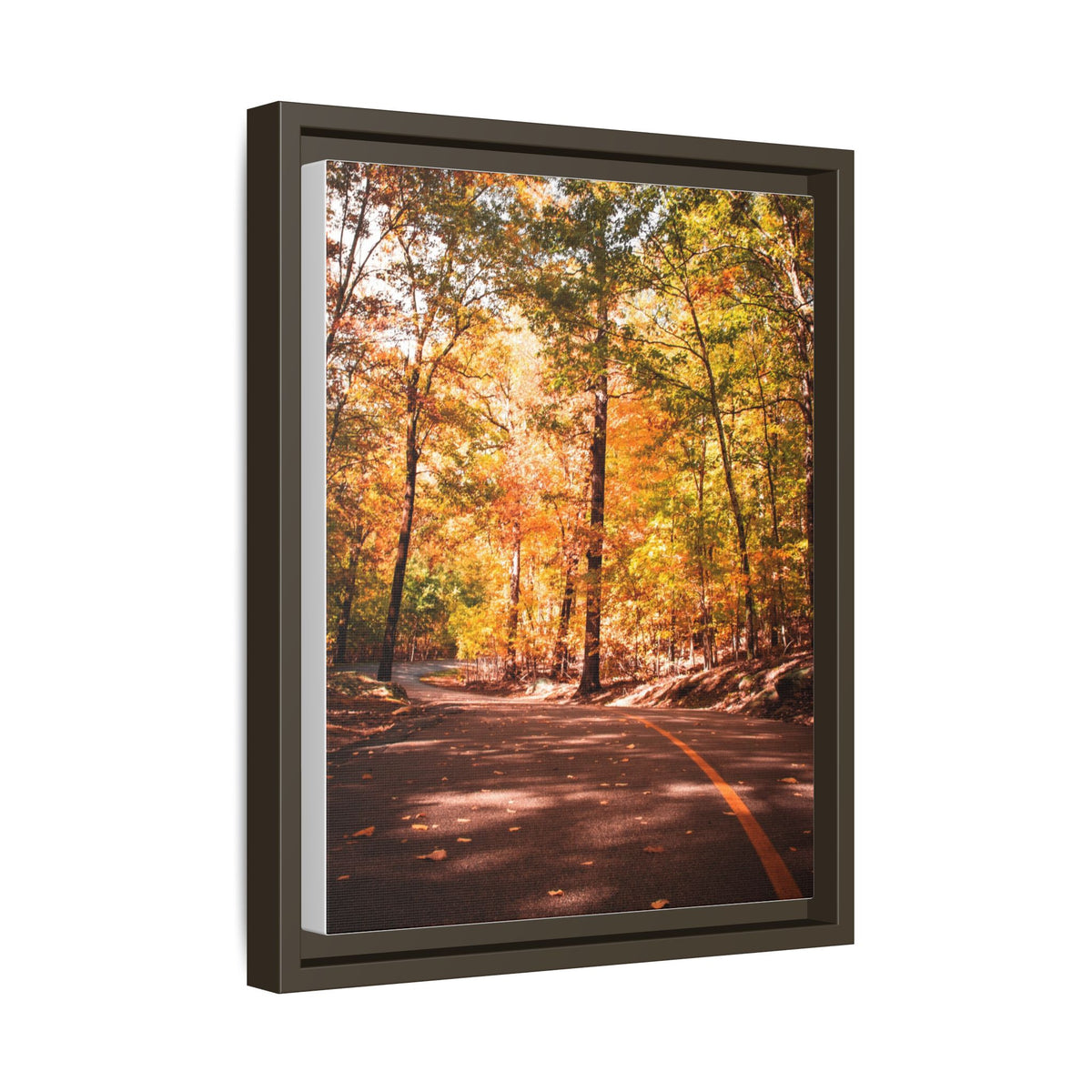 Autumn Road- Canvas Print