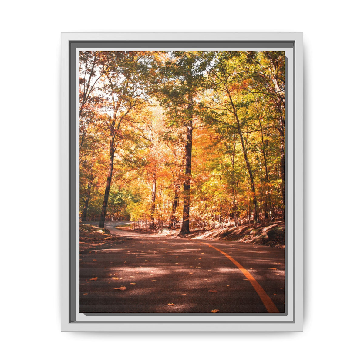 Autumn Road- Canvas Print