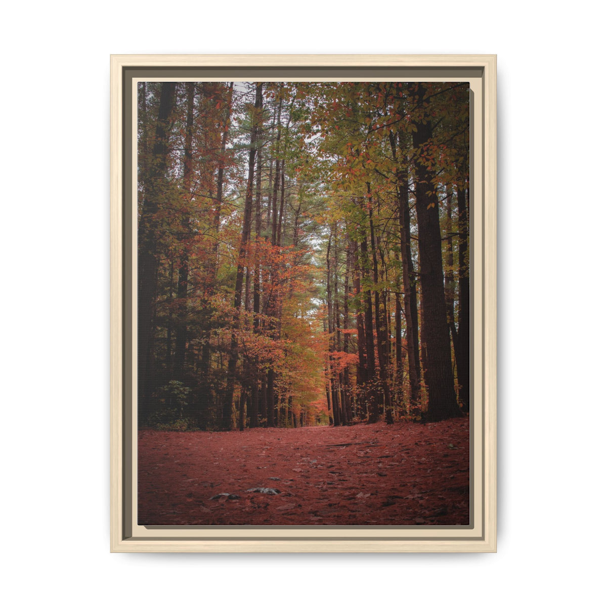Autumn Forest Wall Art