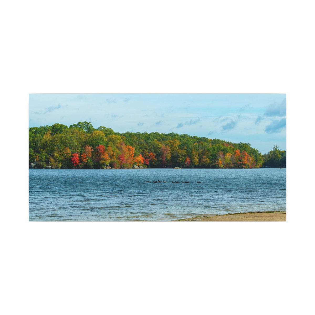 Fall on the Beach — Fall Landscape Matte Wall Art