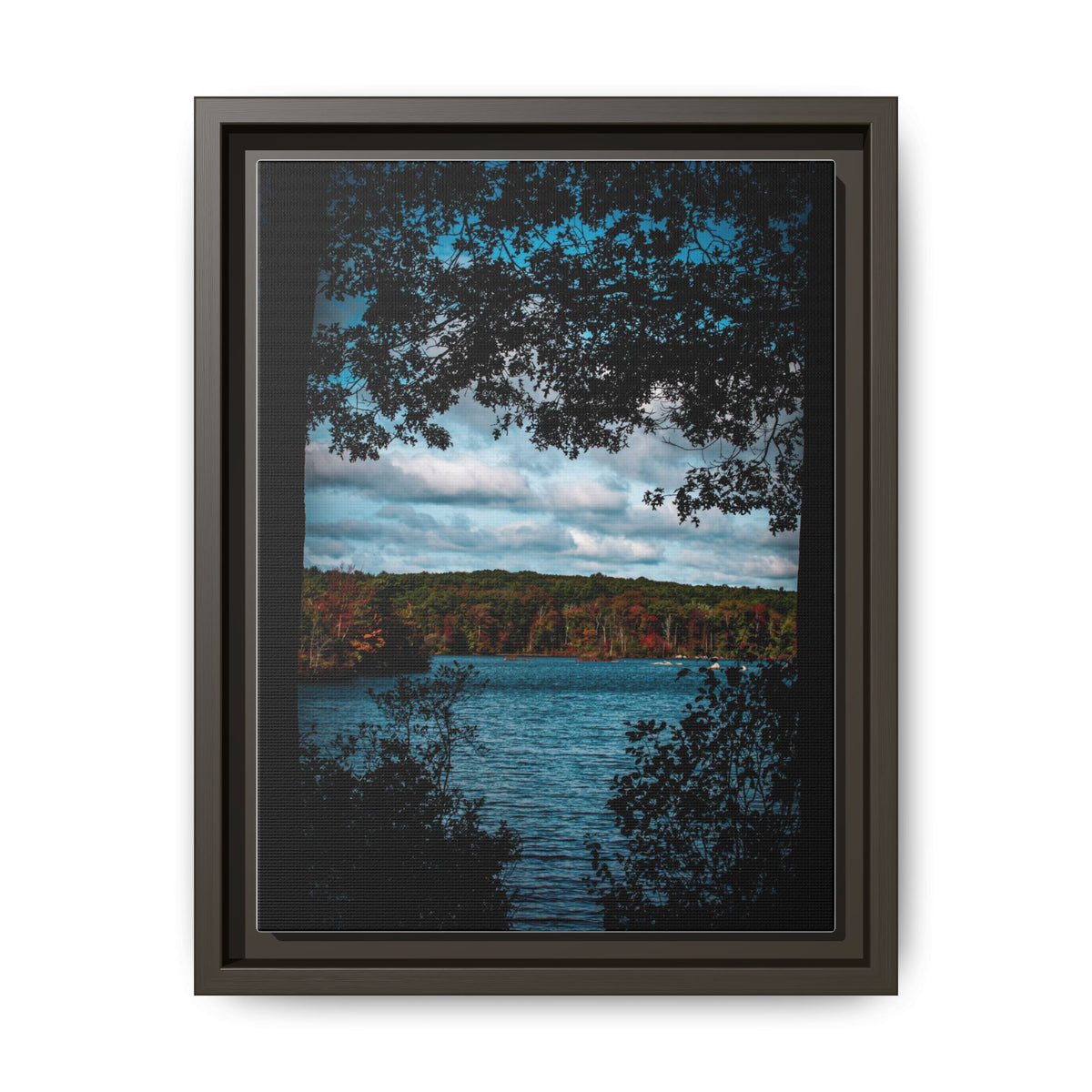 Tree Covered Peace - Canvas Print
