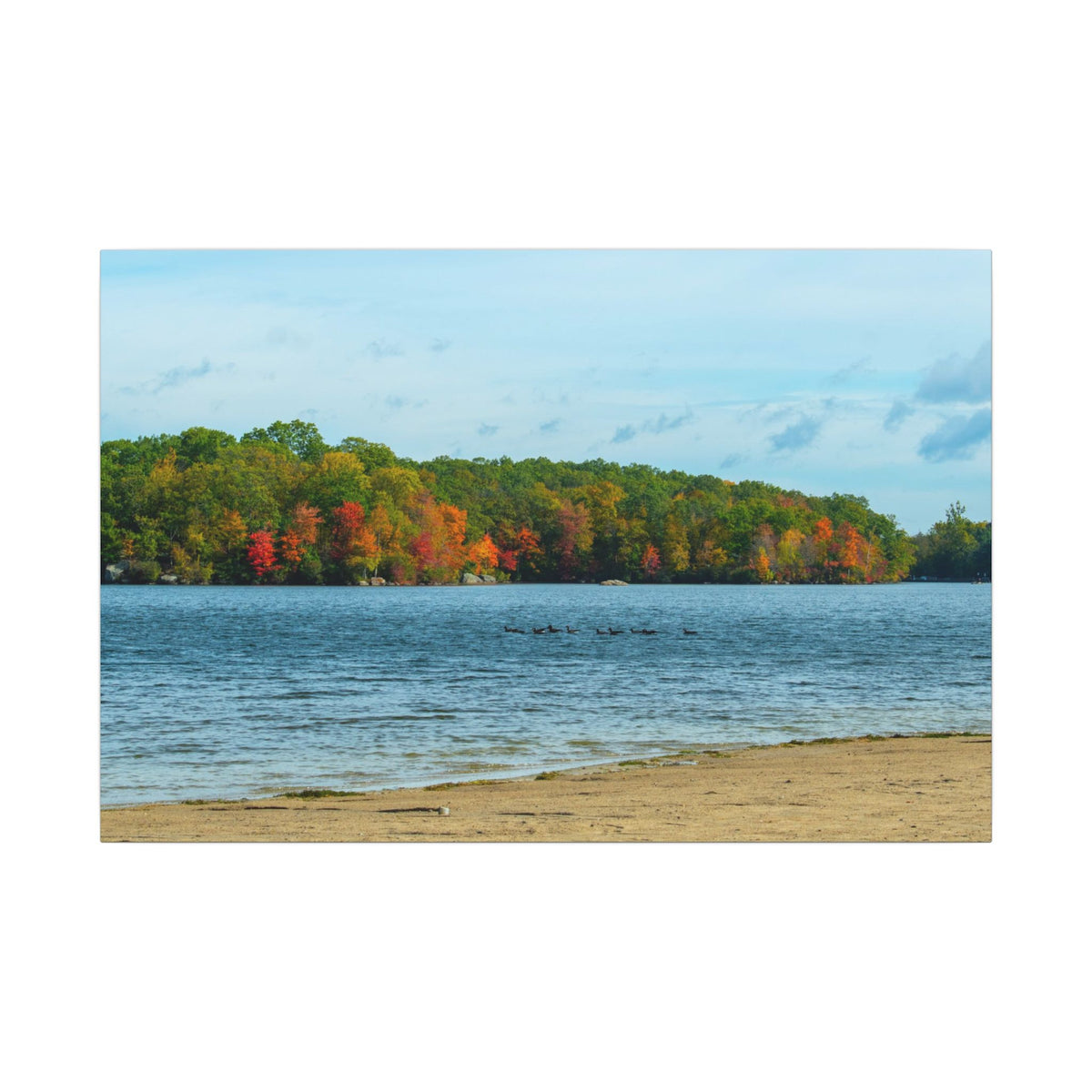 Fall on the Beach — Fall Landscape Matte Wall Art