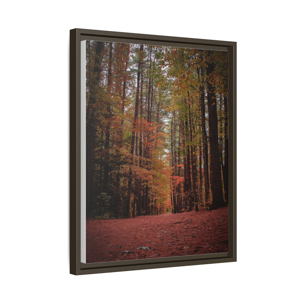 Autumn Forest Wall Art