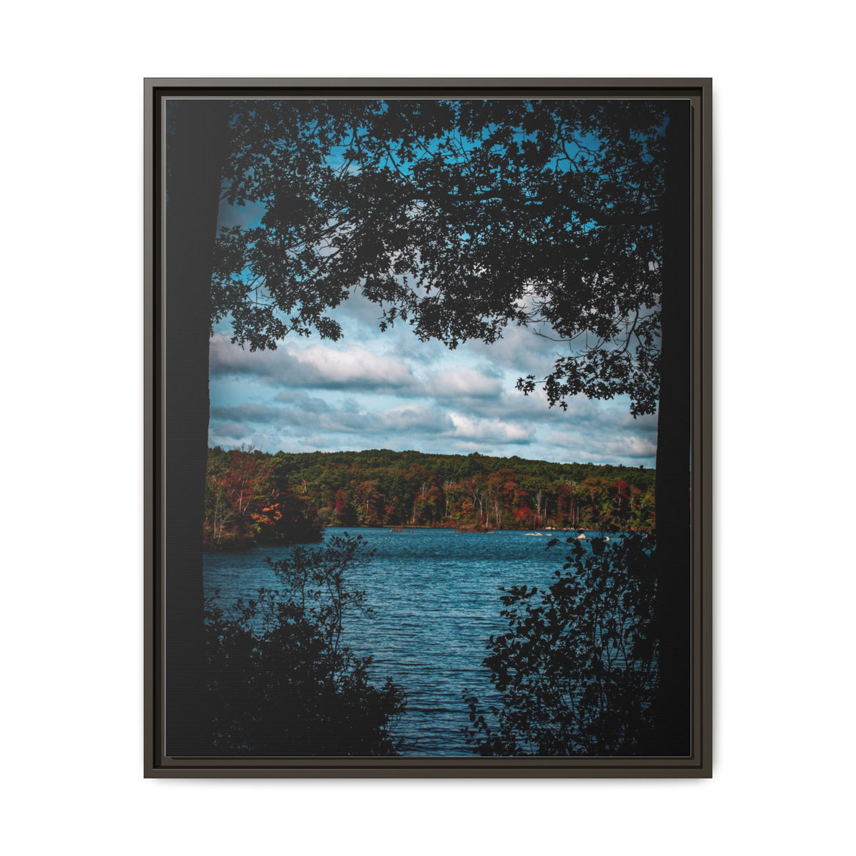 Tree Covered Peace - Canvas Print