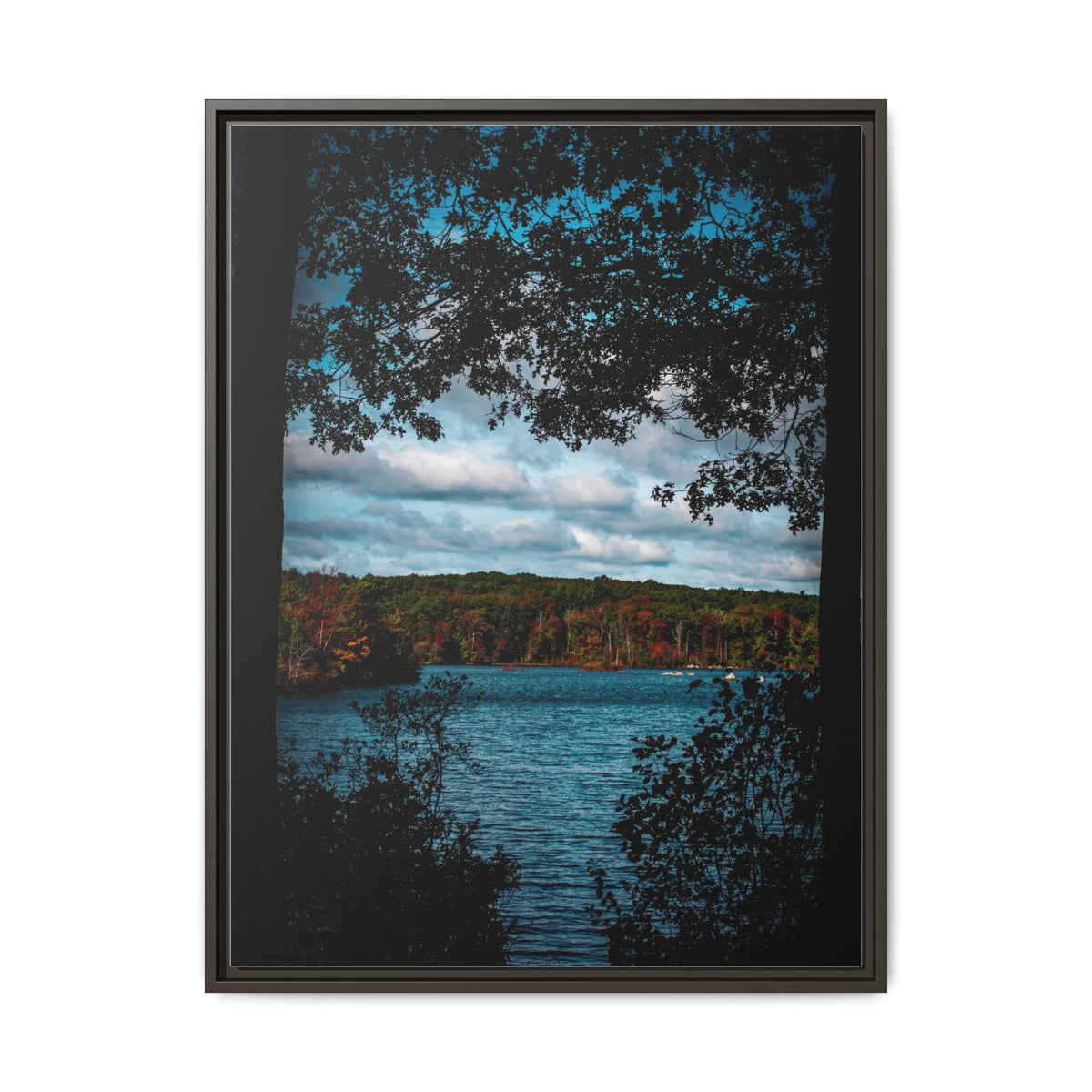 Tree Covered Peace - Canvas Print