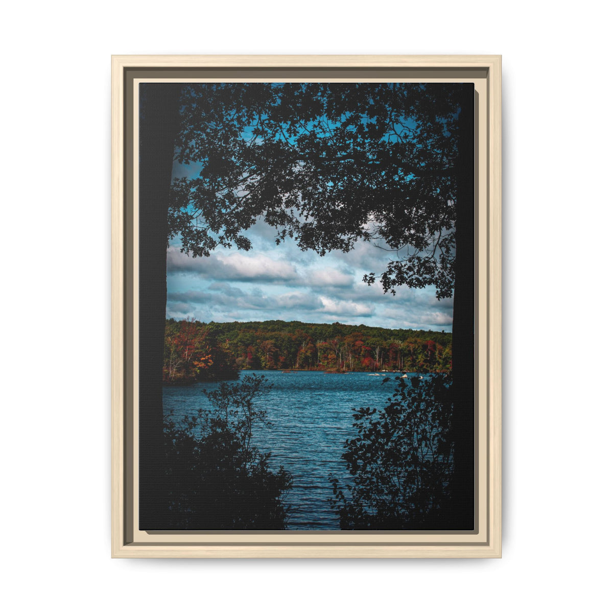 Tree Covered Peace - Canvas Print