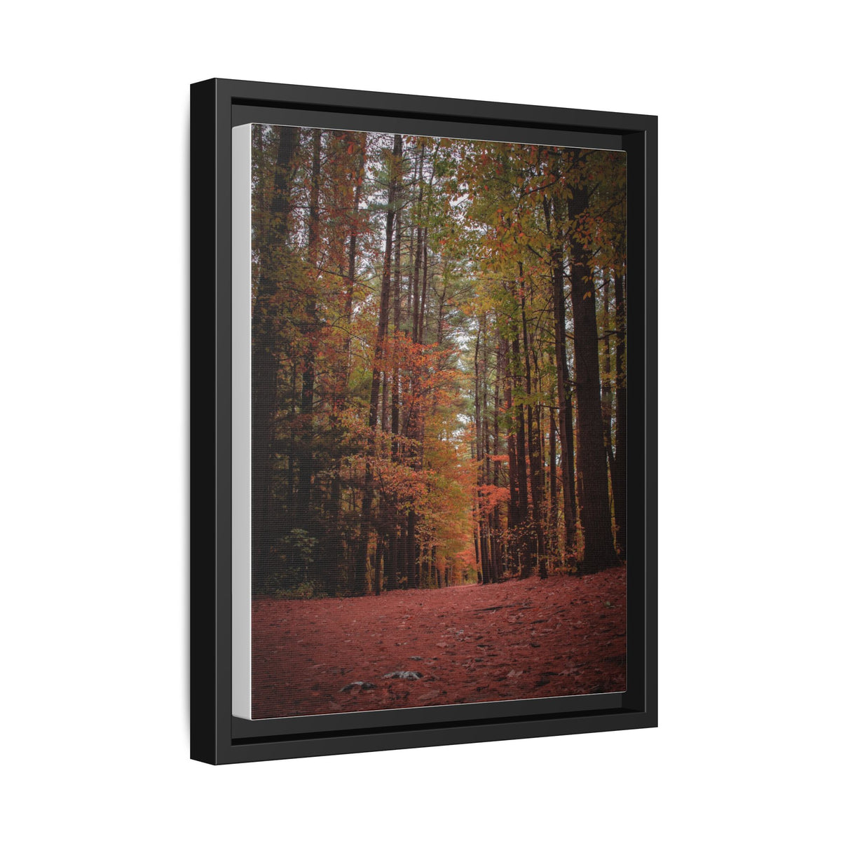 Autumn Forest Wall Art