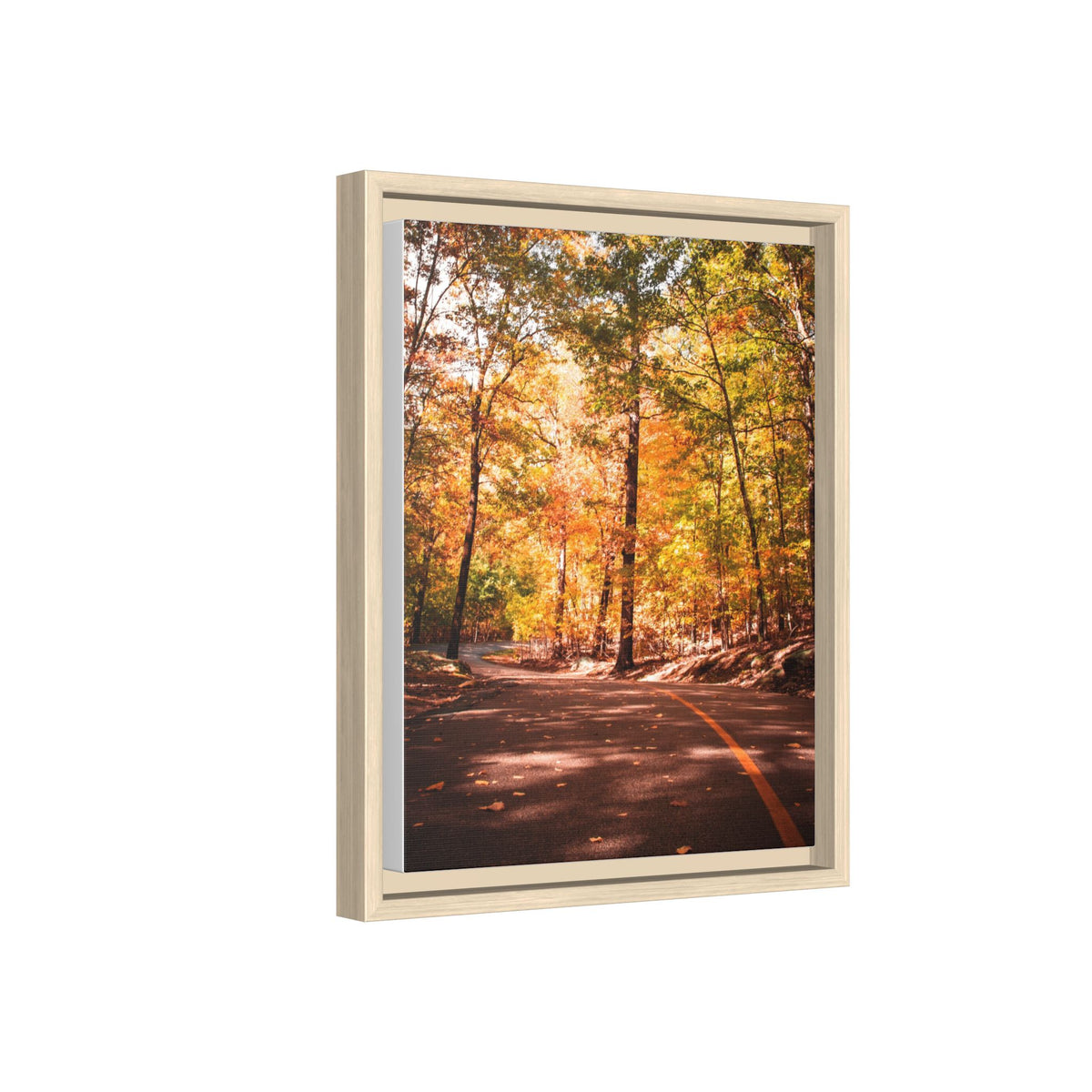 Autumn Road- Canvas Print
