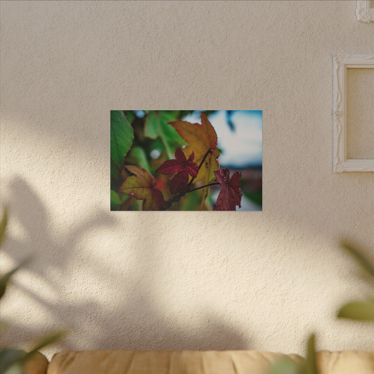 Collecting Colors- Matte Canvas Wall Art