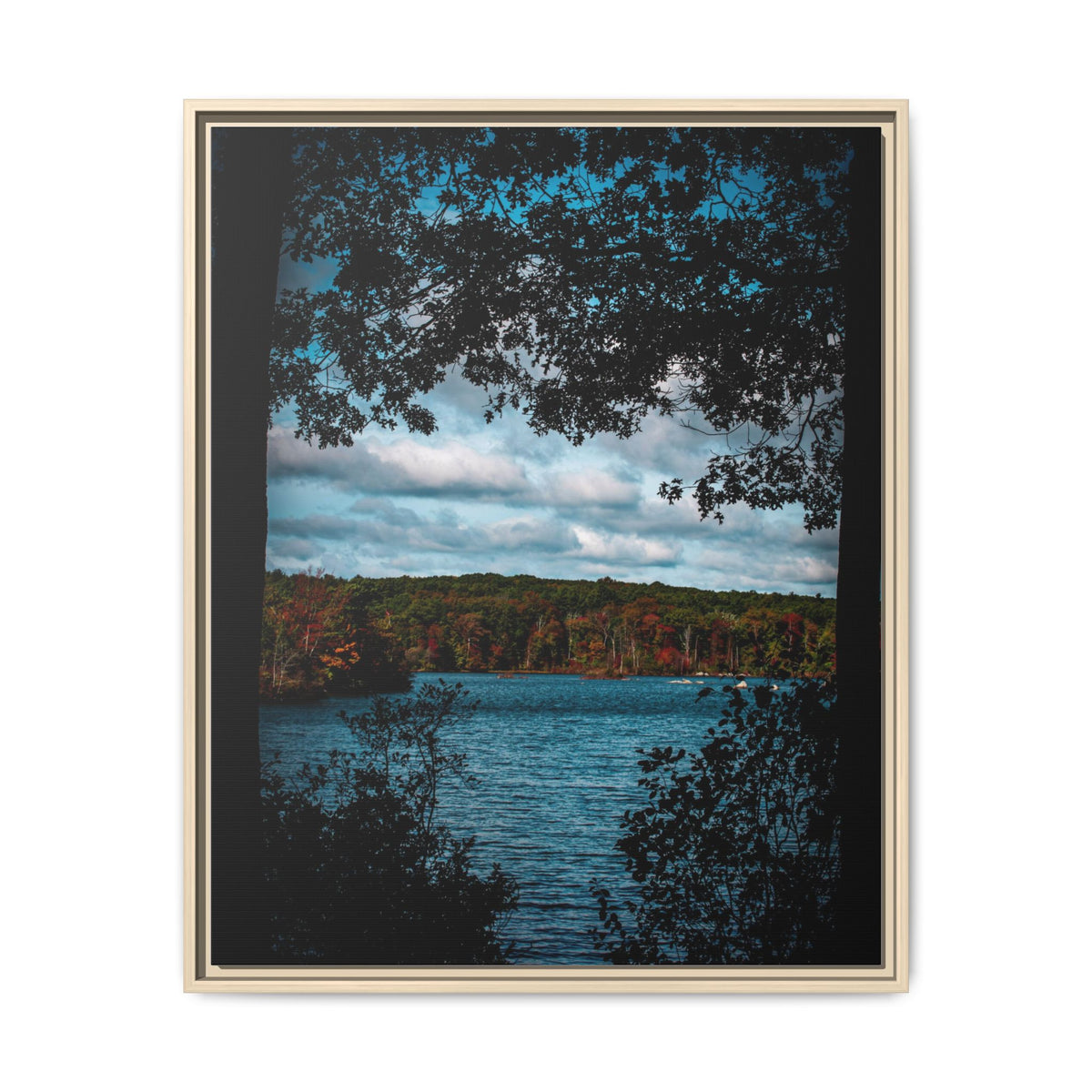 Tree Covered Peace - Canvas Print