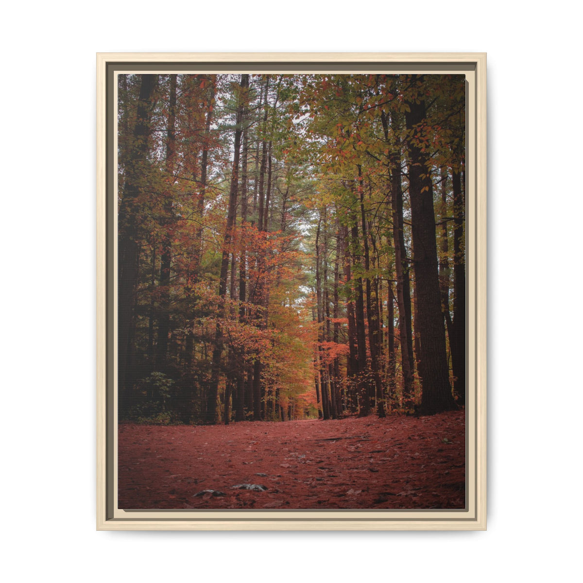 Autumn Forest Wall Art