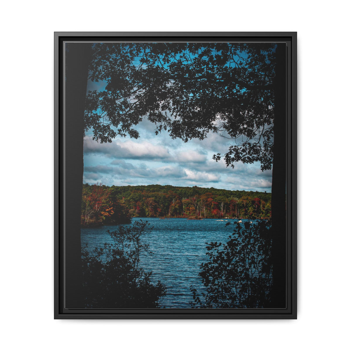 Tree Covered Peace - Canvas Print