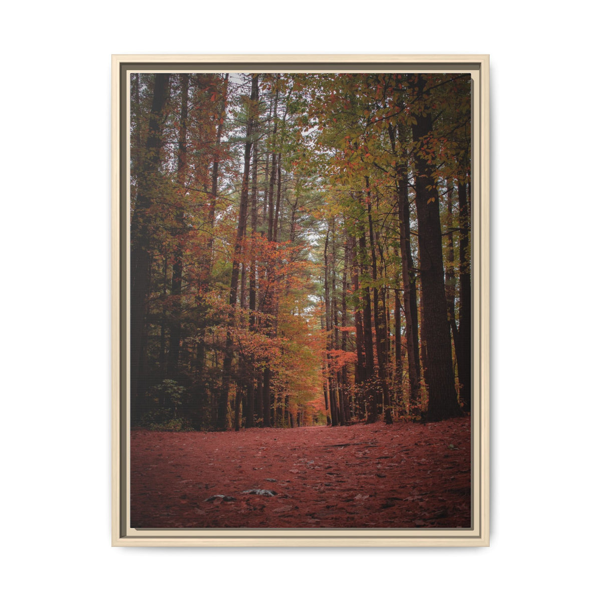 Autumn Forest Wall Art