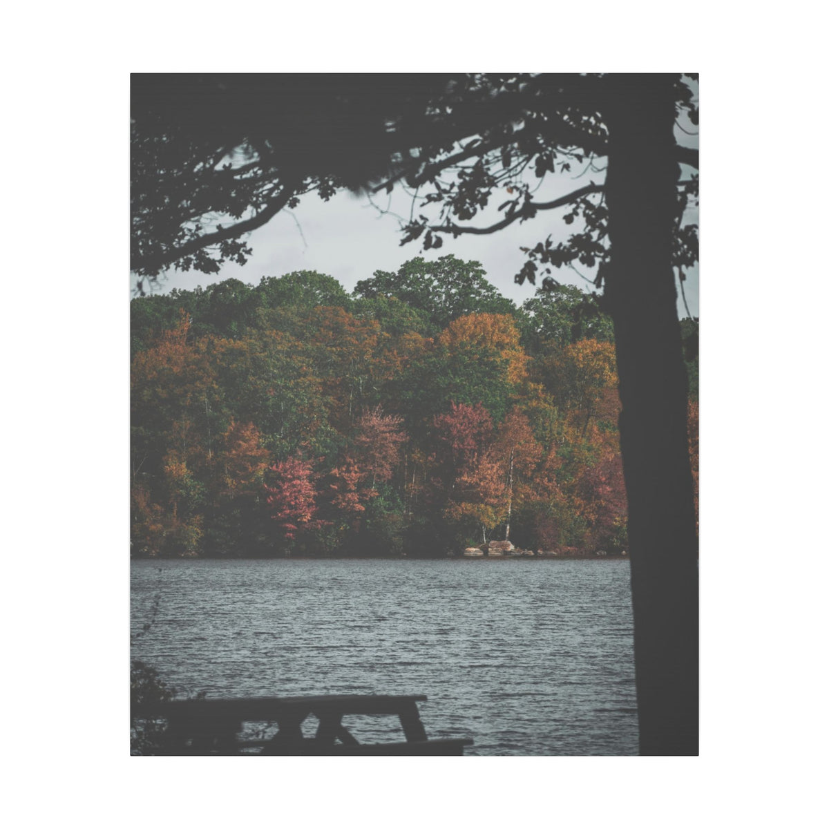 Take in Autumn- Matte Canvas Print