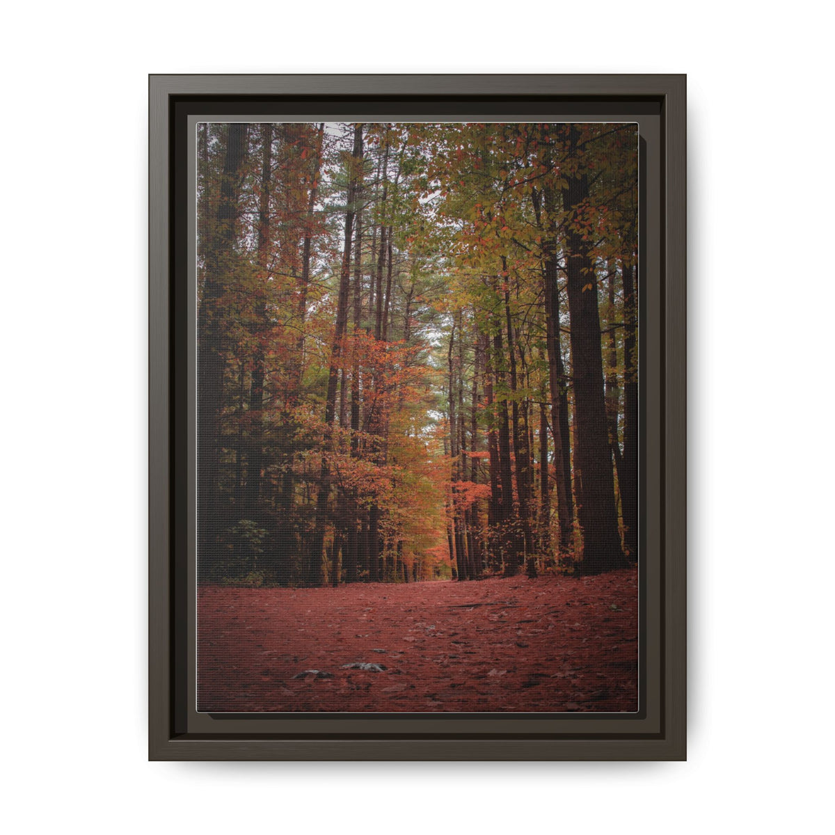 Autumn Forest Wall Art