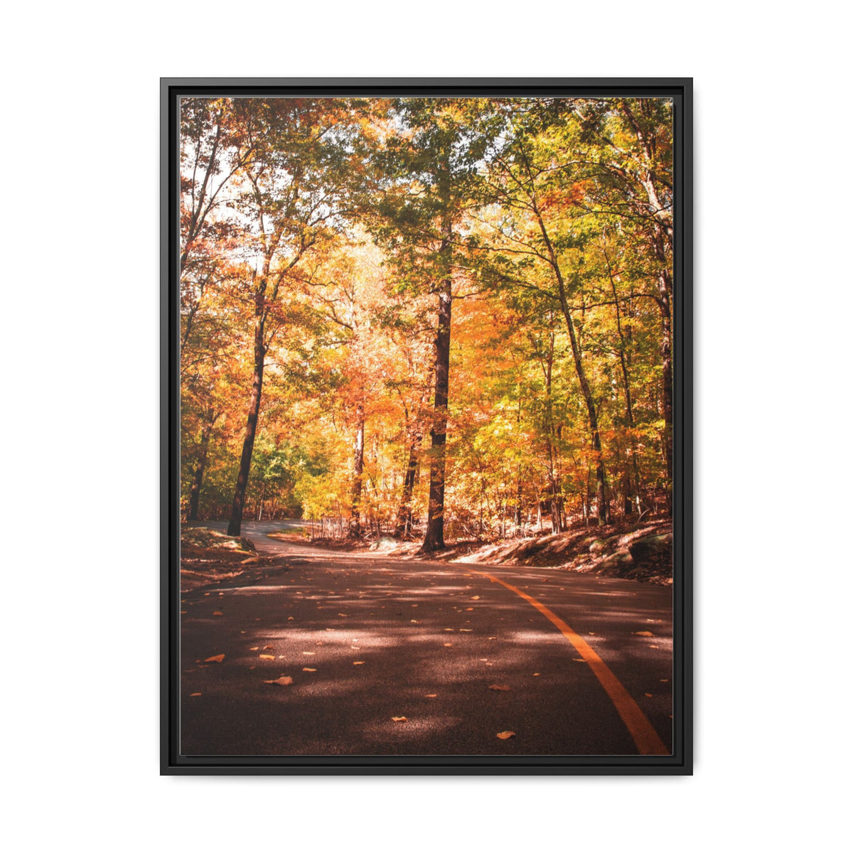 Autumn Road- Canvas Print