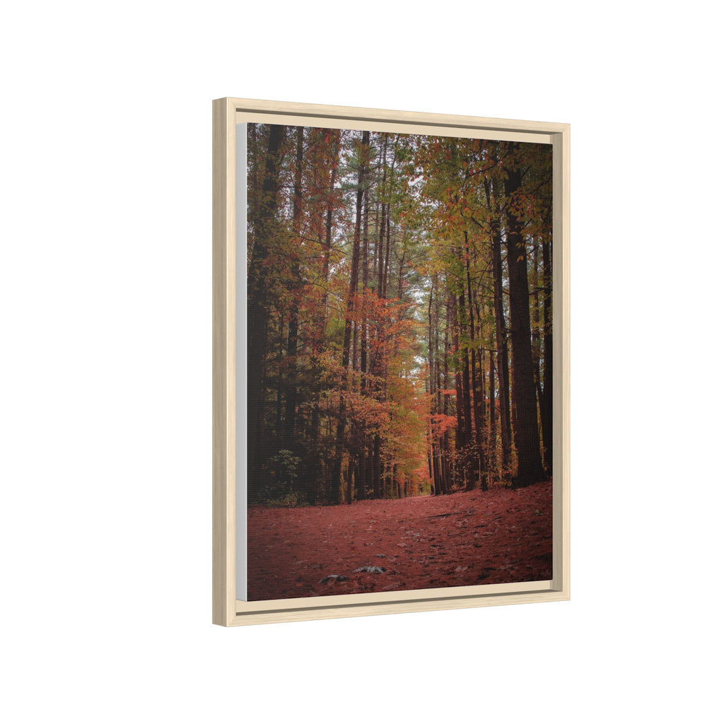 Autumn Forest Wall Art
