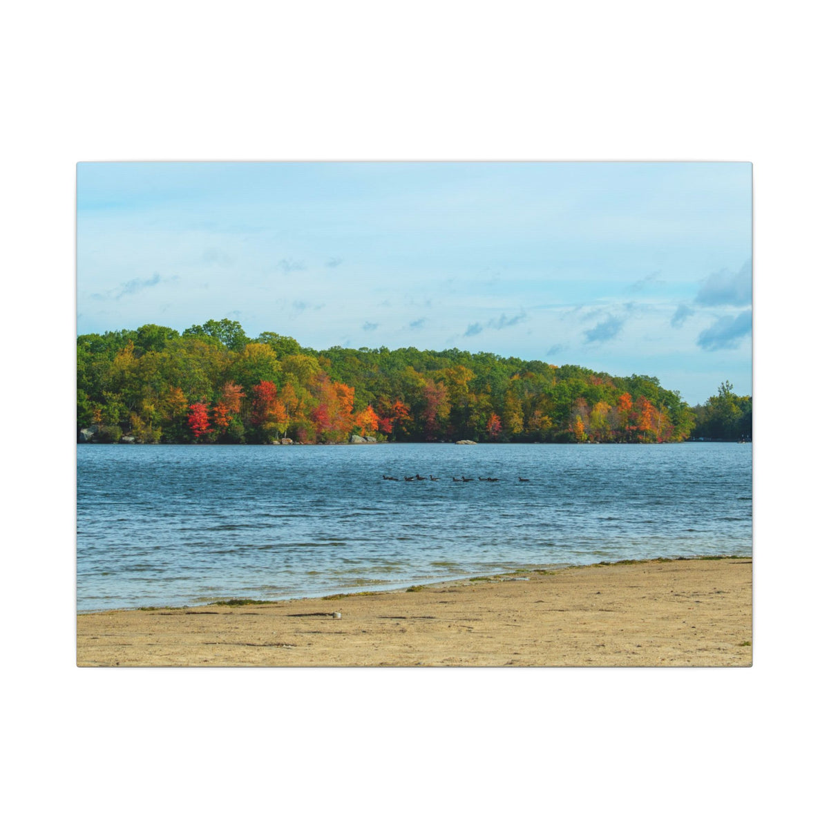 Fall on the Beach — Fall Landscape Matte Wall Art