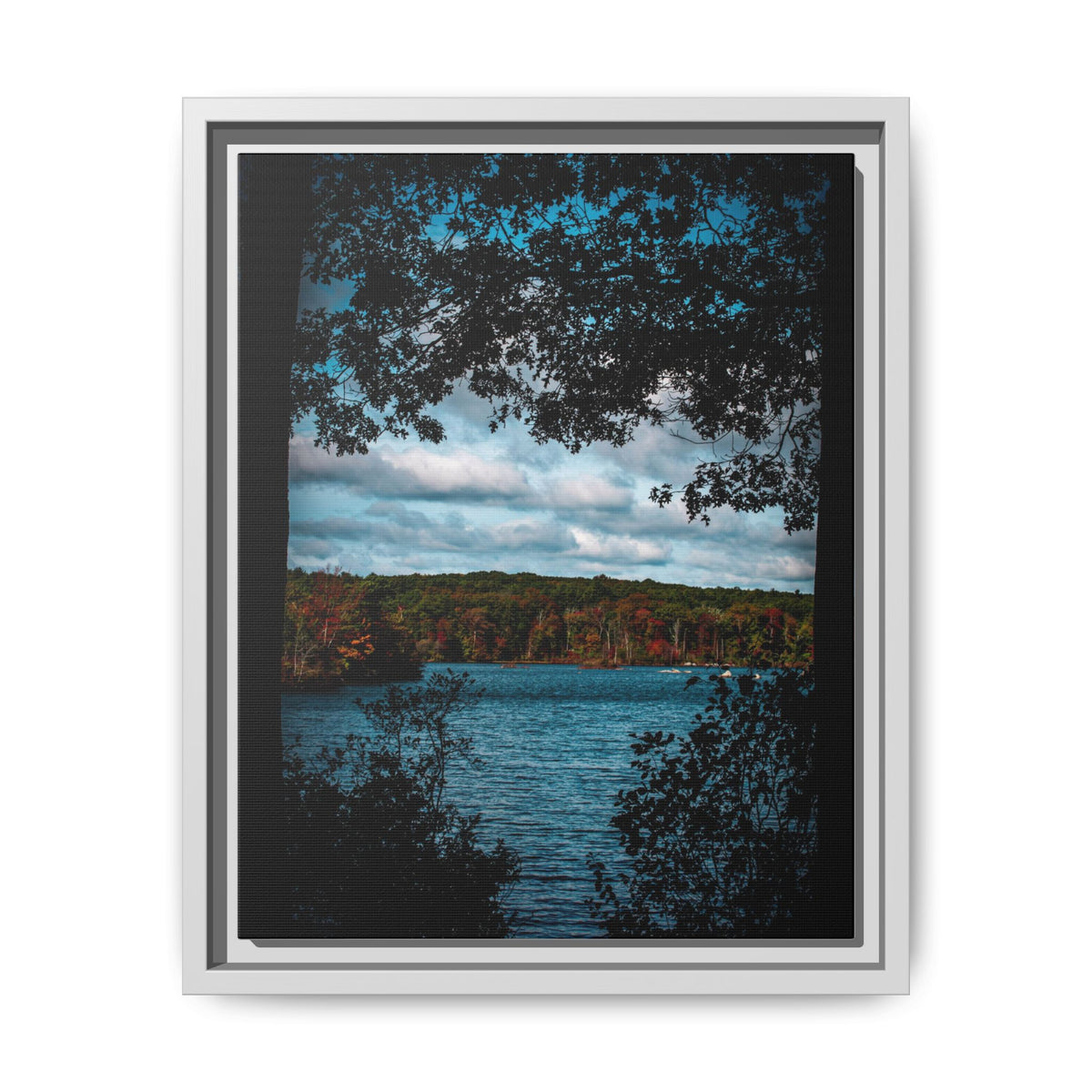 Tree Covered Peace - Canvas Print