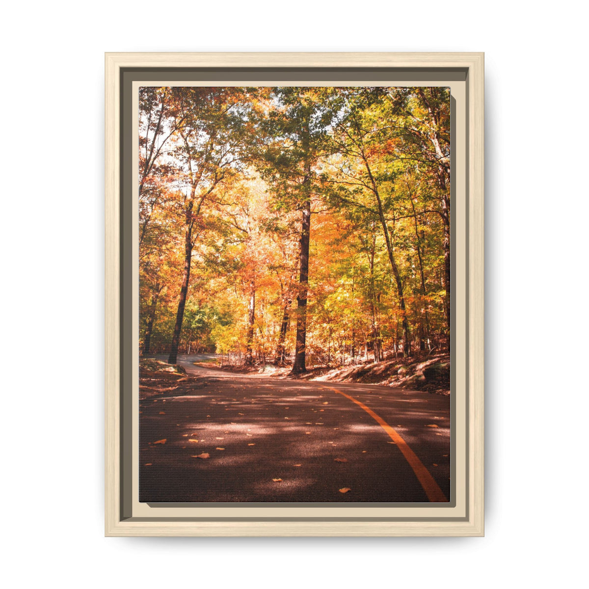 Autumn Road- Canvas Print