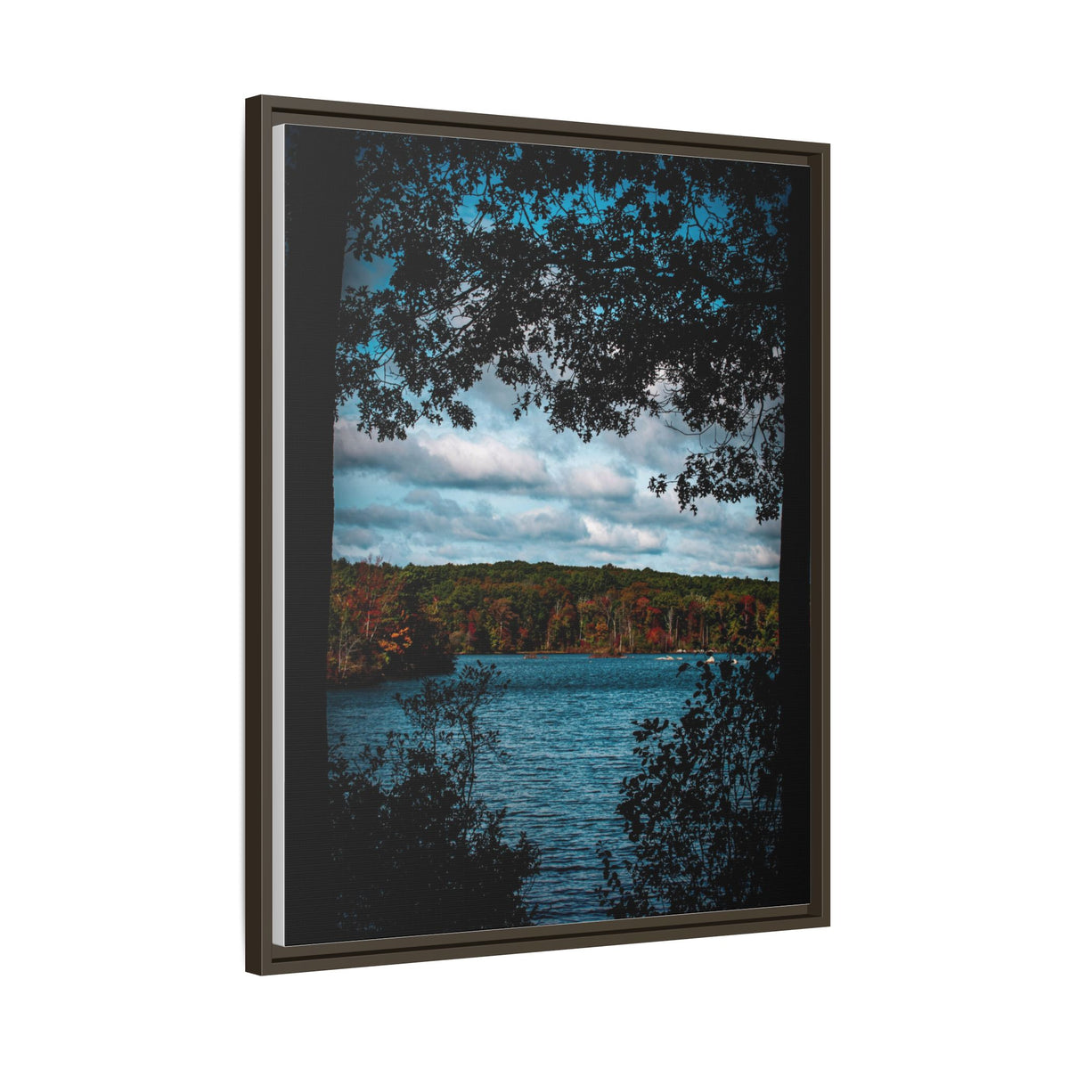 Tree Covered Peace - Canvas Print