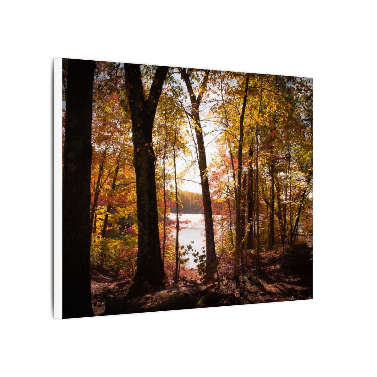 Autumn Lakeview Wall Art